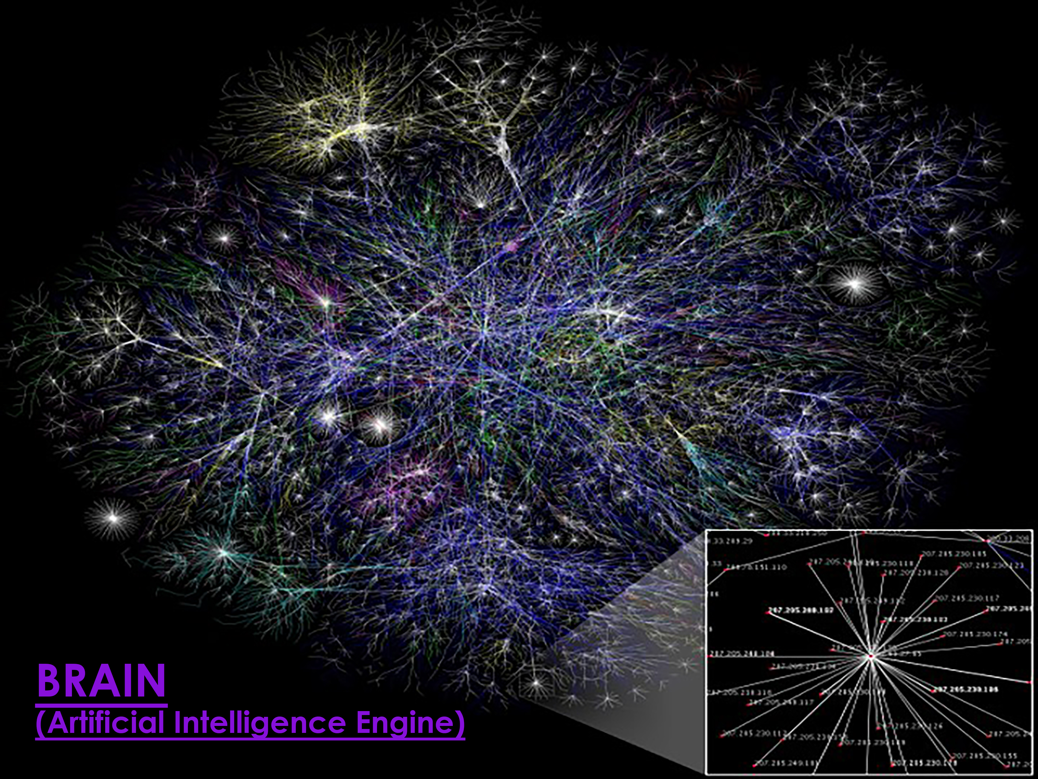 BRAIN_2f